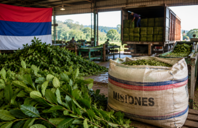 La India habilitó la importación comercial de yerba mate argentina tras gestiones de Misiones