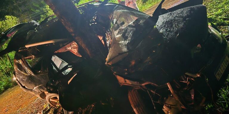 Dos jóvenes murieron tras un choque contra un árbol en Foz de Iguazú: el auto llevaba diez personas