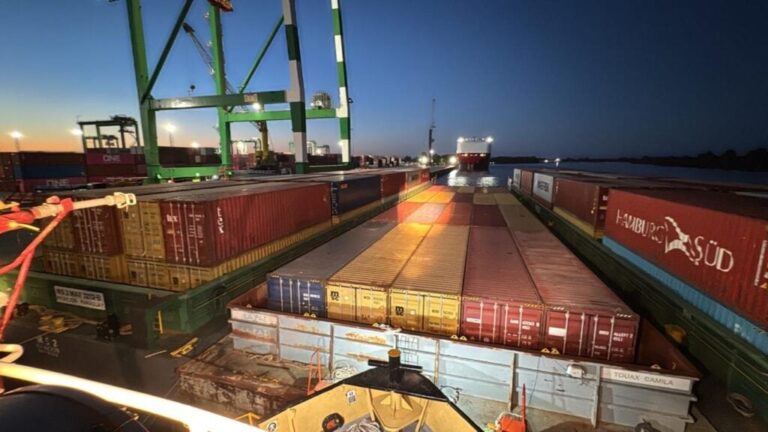 Misiones lideró las exportaciones del NEA y concentró el 44% de las ventas regionales