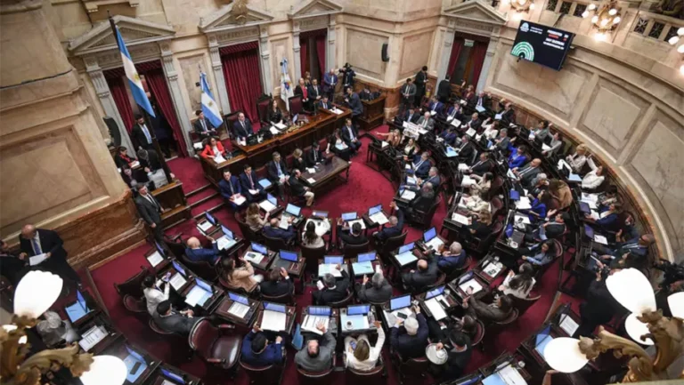 Mujeres del “Movimiento por lo que Viene” pidieron a los senadores de Misiones rechazar cambios a la ley de tierras