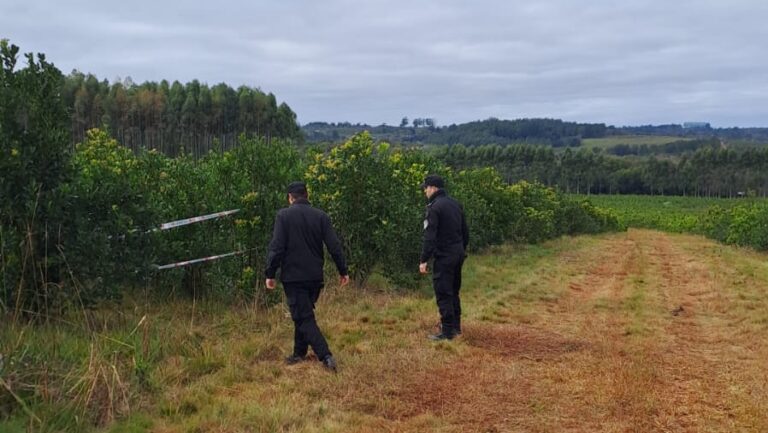 La Policía de Misiones investiga la muerte de una adolescente hallada en una chacra de Campo Ramón