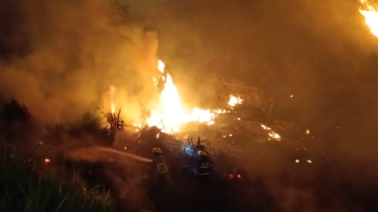 Bomberos controlaron un principio de incendio en la Costanera de Puerto Iguazú