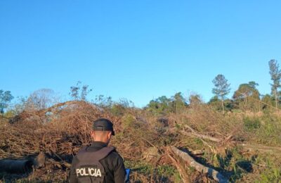 Un árbol cayó sobre un hombre en una chacra de El Soberbio y murió