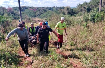 Un trabajador sufrió graves lesiones al caer mientras podaba un árbol en Loreto