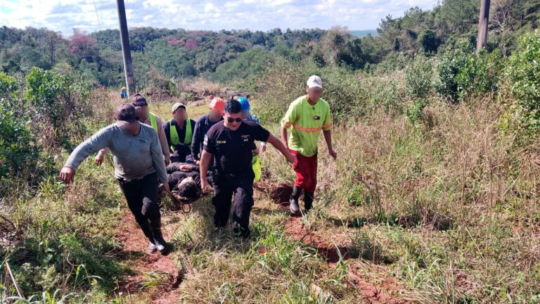 Un trabajador sufrió graves lesiones al caer mientras podaba un árbol en Loreto