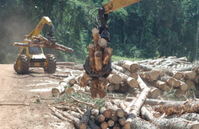 AFoA respaldó la reforma impulsada por Passalacqua sobre el uso de glifosato en Misiones