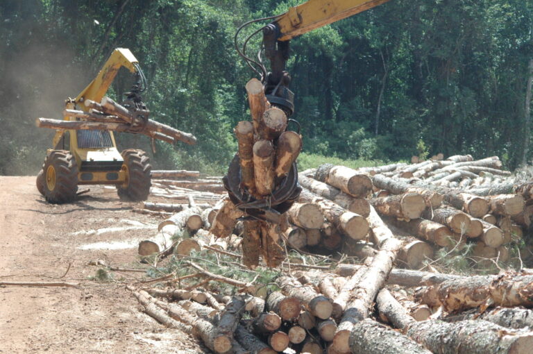 AFoA respaldó la reforma impulsada por Passalacqua sobre el uso de glifosato en Misiones