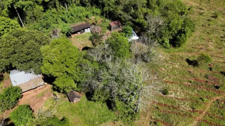 Misiones sumó una nueva reserva privada en Alba Posse y ya cuenta con 58 áreas de este tipo