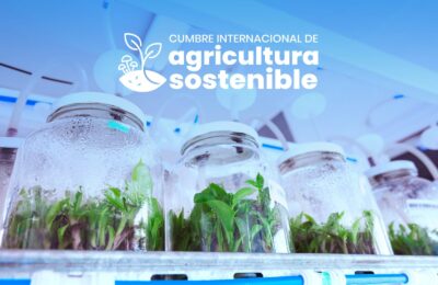 Comenzó en Posadas la Cumbre Internacional de Agricultura Sostenible con referentes de cuatro países