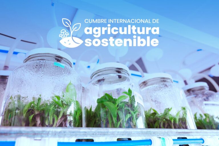 Comenzó en Posadas la Cumbre Internacional de Agricultura Sostenible con referentes de cuatro países