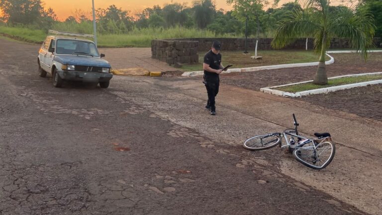 Investigan si un automovilista fue atacado por abejas, perdió el control y atropelló a un ciclista en Puerto Rico