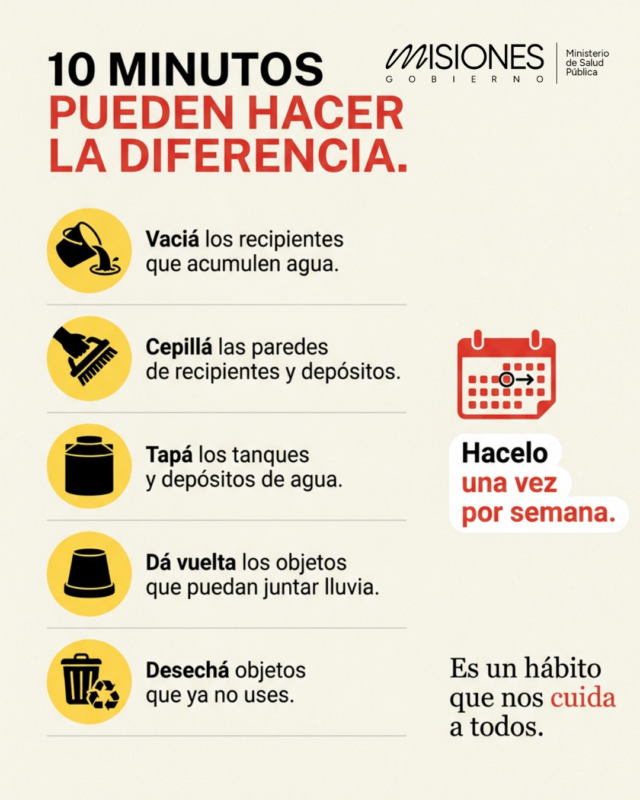 Dengue en Misiones: las recomendaciones para reducir la presencia del mosquito