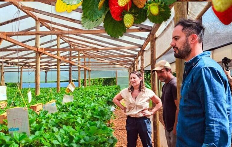 Biofábrica Misiones cumplió 20 años y la FAO reconoció uno de sus desarrollos biotecnológicos para la producción agropecuaria
