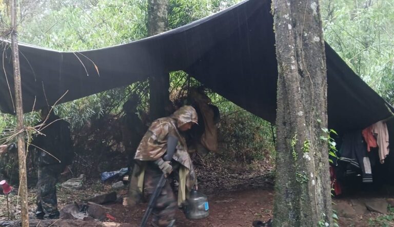 Operativo contra la caza furtiva en Yabotí: destruyeron campamentos y cebaderos