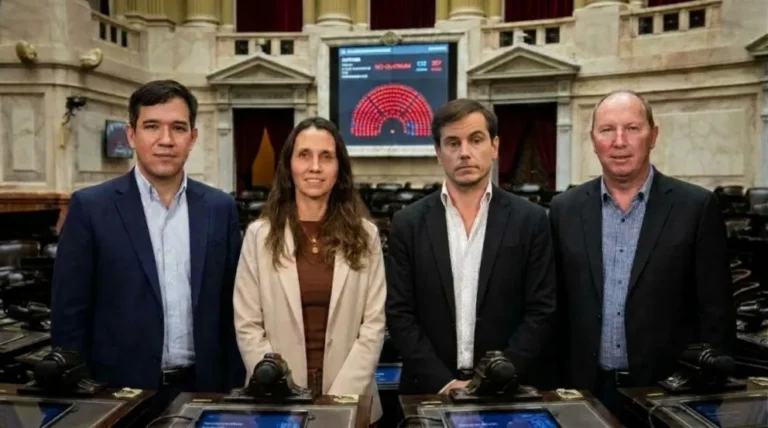 Sesión caída en Diputados: Vancsik, Hartfield, Gruber y Bianchetti no dieron quórum para debatir el DNU que afectó al INYM